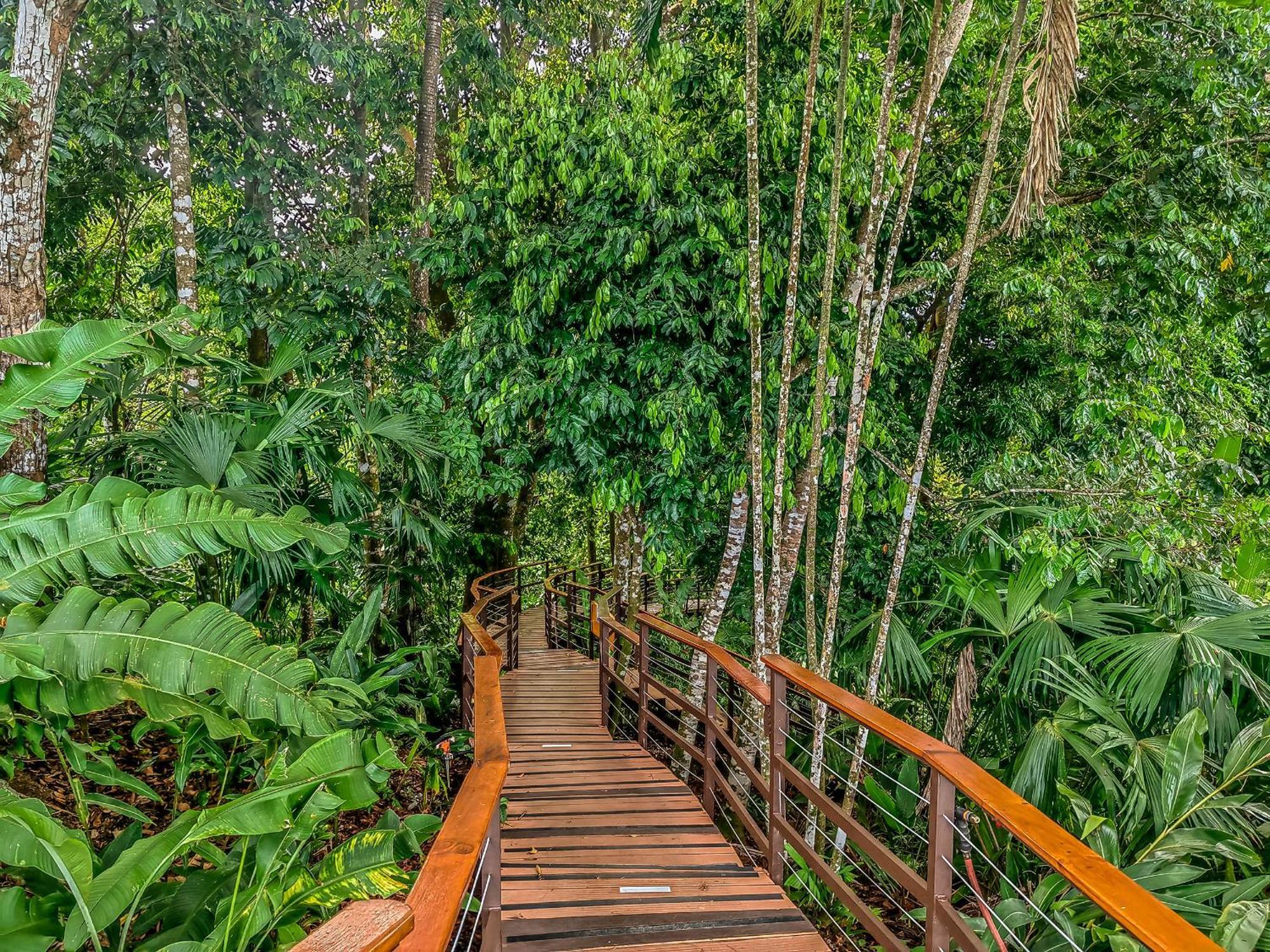 Lapa Rios Lodge By Boeena Puerto Jiménez 외부 사진